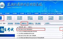 2024 黑龍江成人高考考試成績?cè)谀牟椋渴裁磿r(shí)候出來？