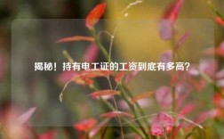 揭秘！持有電工證的工資到底有多高？