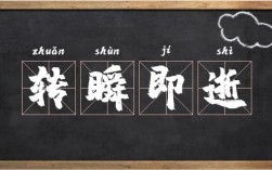 轉(zhuǎn)瞬即逝意思