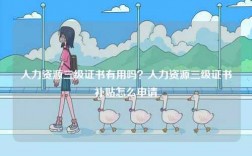 人力資源三級(jí)證書有用嗎？人力資源三級(jí)證書補(bǔ)貼怎么申請(qǐng)