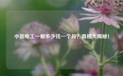 小區電工一般多少錢一個月？真相大揭秘！