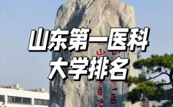 2024年山東醫(yī)學院排名