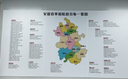 安徽單招網(wǎng)沖刺班：精準(zhǔn)教學(xué)，助力升學(xué)