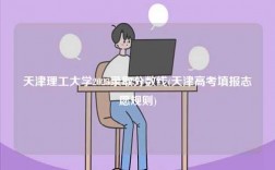 天津理工大學(xué)2023錄取分數(shù)線(天津高考填報志愿規(guī)則)