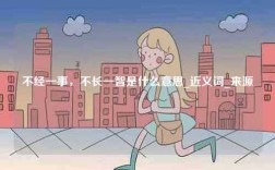 不經一事，不長一智是什么意思_近義詞_來源