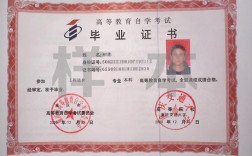 教育機構(gòu)自考本科可信嗎
