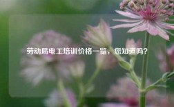 勞動(dòng)局電工培訓(xùn)價(jià)格一覽，您知道嗎？