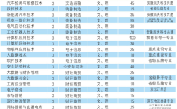 安徽工貿(mào)職業(yè)技術(shù)學(xué)院預(yù)科班2025招生｜錄取條件+專業(yè)方向