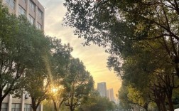 2025年安徽中考250分怎么選？中專？安徽工貿(mào)職業(yè)技術(shù)學(xué)院（五年一貫制）免升學(xué)焦慮 3年中專2年公辦大專
