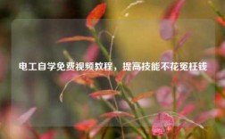 電工自學(xué)免費(fèi)視頻教程，提高技能不花冤枉錢(qián)