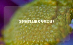 如何在網(wǎng)上報(bào)名考電工證？