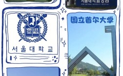 首爾大學世界排名