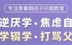 湖北武漢-紐特心理疏導(dǎo)機(jī)構(gòu)|叛逆、厭學(xué)、網(wǎng)癮