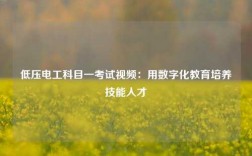 低壓電工科目一考試視頻：用數字化教育培養技能人才