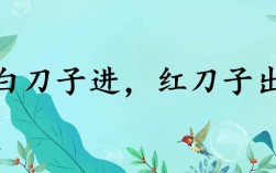 白刀子進，紅刀子出是什么意思_近義詞_來源