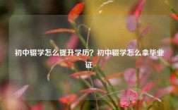 初中輟學怎么提升學歷？初中輟學怎么拿畢業證