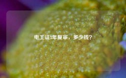電工證3年復審，多少錢？