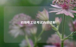 初級電工證考試內(nèi)容詳解