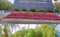 蘭州財經(jīng)大學考研難嗎(蘭州財經(jīng)大學官網(wǎng)入口)