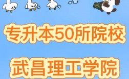 武昌理工學(xué)院專升本官網(wǎng)入口