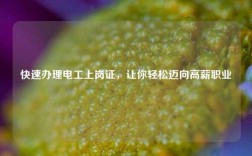 快速辦理電工上崗證，讓你輕松邁向高薪職業(yè)