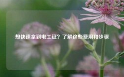 想快速拿到電工證？了解這些費(fèi)用和步驟
