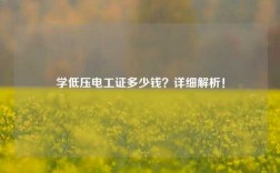 學低壓電工證多少錢？詳細解析！