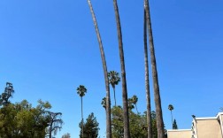 加州理工大學(xué)(Caltech)相當(dāng)于國內(nèi)什么大學(xué)？含金量高嗎？
