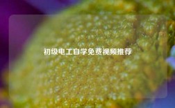 初級電工自學免費視頻推薦