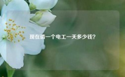現在請一個電工一天多少錢？