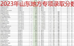2024年山東地方專(zhuān)項(xiàng)計(jì)劃錄取分?jǐn)?shù)線(xiàn)