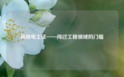 高級(jí)電工證——闖過工程領(lǐng)域的門檻