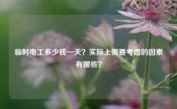 臨時(shí)電工多少錢(qián)一天？實(shí)際上需要考慮的因素有哪些？