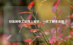 安監(jiān)局電工證網(wǎng)上報(bào)名，一文了解全流程