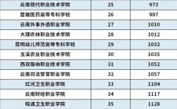云南?？茖W校(云南職業技術學院有哪些)