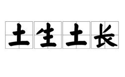 土生土長(zhǎng)的意思