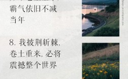 卷土重來(lái)造句