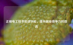 正規(guī)電工技術(shù)培訓(xùn)學(xué)校，提升就業(yè)競爭力的首選