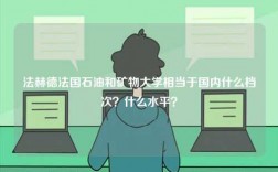 法赫德法國石油和礦物大學相當于國內什么檔次？什么水平？