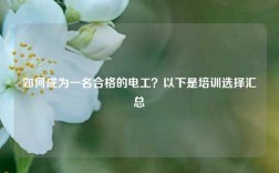 如何成為一名合格的電工？以下是培訓(xùn)選擇匯總
