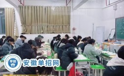 安徽省單招怎么復(fù)習(xí)？安徽單招生集訓(xùn)營2024年冬季招生簡章！低分逆襲上公辦院校！