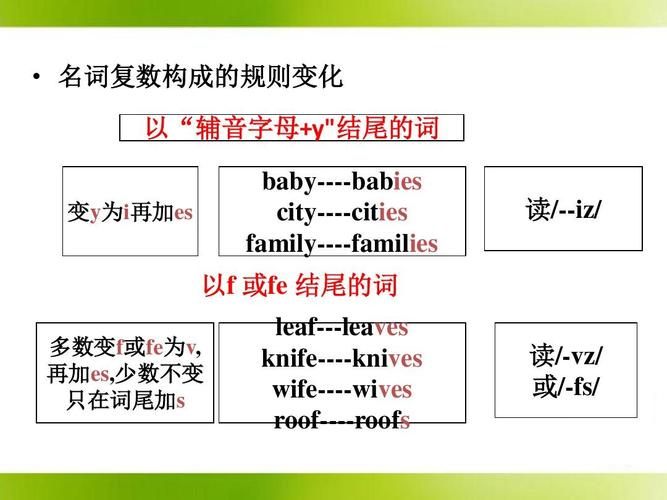 bamboo的復(fù)數(shù)-圖1