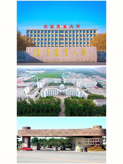 沈陽農(nóng)業(yè)大學(xué)是一本還是二本-圖1