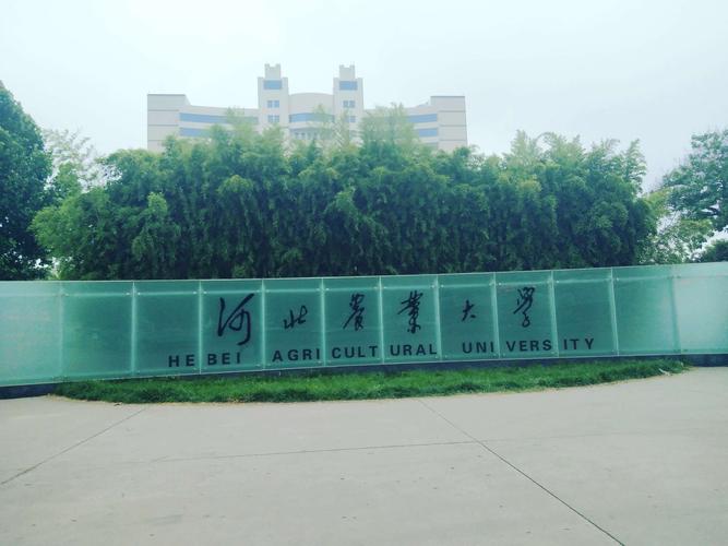 河北農大怎么樣 最吃香的專業-圖1