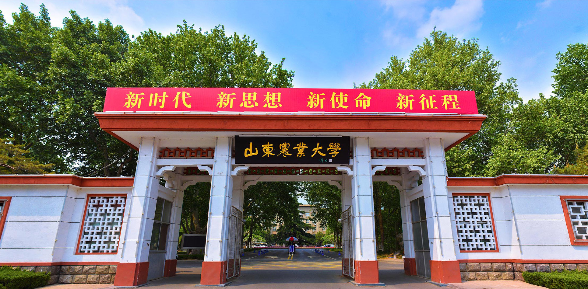 山東農業大學怎么樣(張雪峰說山東農業大學)-圖1