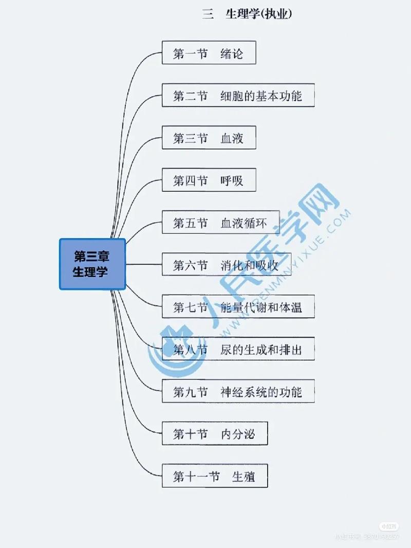 臨床醫(yī)學(xué)基礎(chǔ)知識(臨床醫(yī)學(xué)常考知識點總結(jié))-圖1