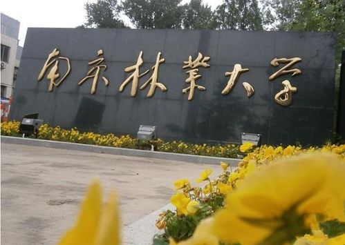 南京林業(yè)大學(xué)是211嗎-圖1