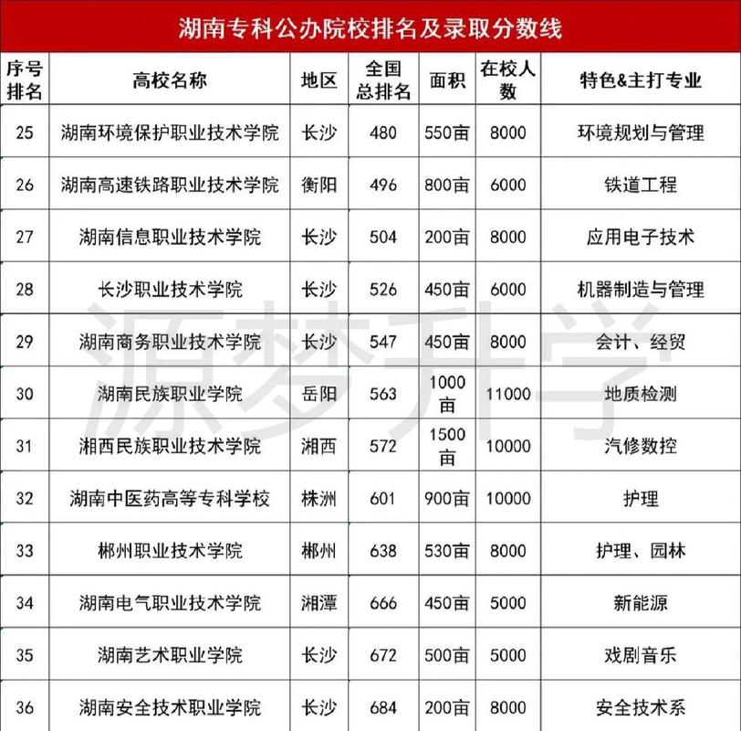 大專有什么專業(yè)可以選-圖1