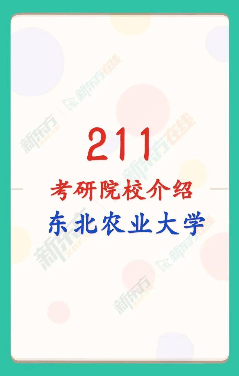 東北農業(yè)大學是一本還是二本-圖1