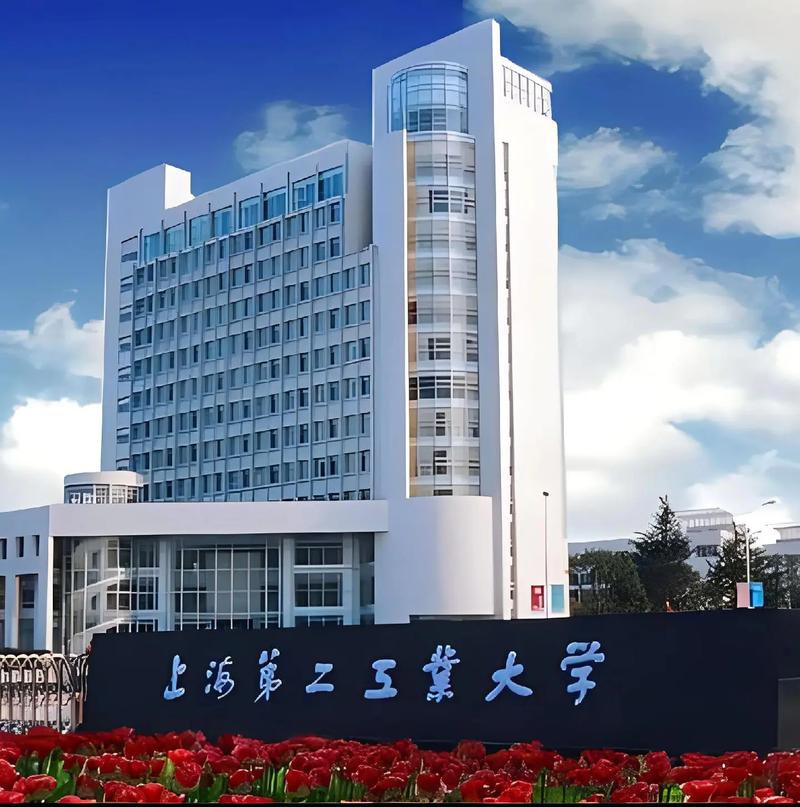 上海第二工業(yè)大學(xué)怎么樣-圖1